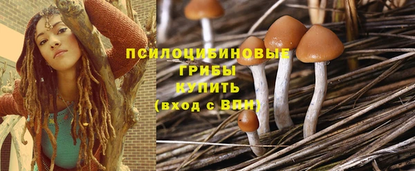 стаф Алексин