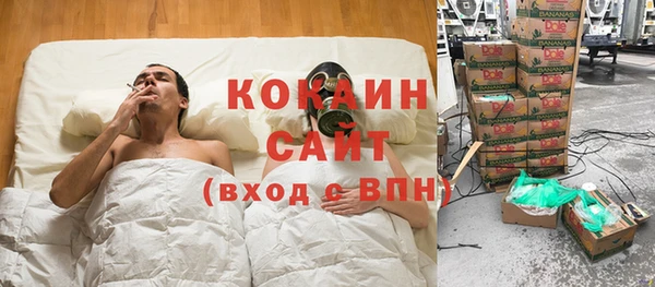 стаф Алексин