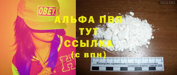 стаф Алексин